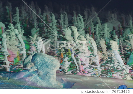 山形藏王溫泉滑雪勝地樹上霧凇 山形藏王溫泉滑雪勝地樹上霧凇 76713435