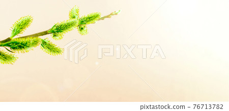 Sakura flower, spring blossom and April floral nature on pink background. Banner for 8 march, Happy Easter with place for text. Springtime concept for greeting cards with copy space. Sakura flower, spring blossom and April floral nature on pink background. Banner for 8 march, Happy Easter with place for text. Springtime concept for greeting cards with copy space. 76713782