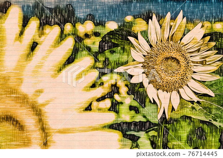 向日葵田 76714445