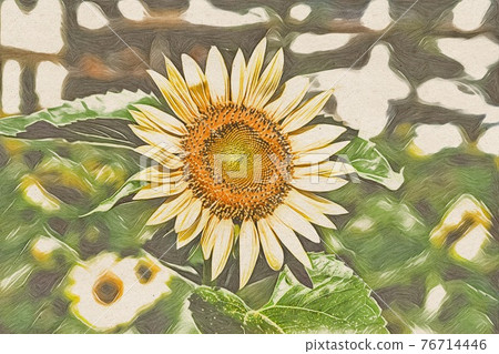 向日葵田 76714446