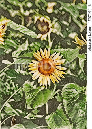 向日葵田 76714448