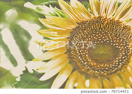 向日葵田 76714451