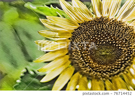 向日葵田 76714452