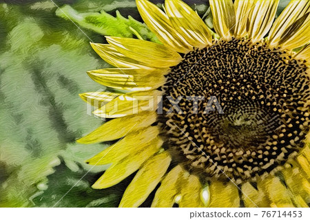 向日葵田 76714453