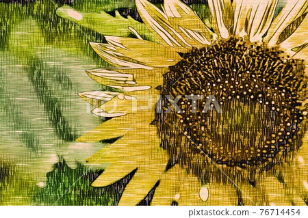 向日葵田 76714454