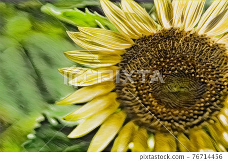 向日葵田 76714456