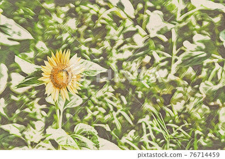 向日葵田 76714459