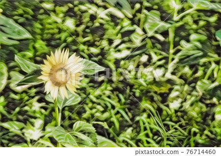 向日葵田 76714460