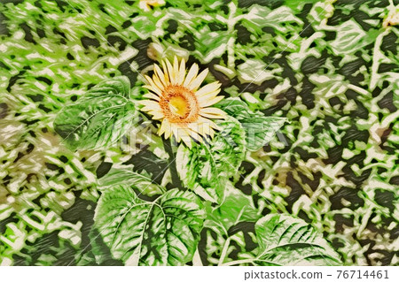 向日葵田 76714461