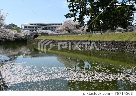 Odawara Castle Odawara Castle 76714568