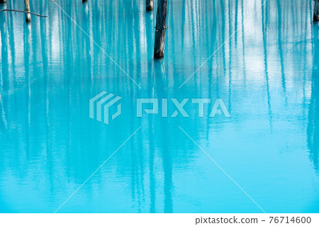 The surface of the blue pond that reflects old trees The surface of the blue pond that reflects old trees 76714600