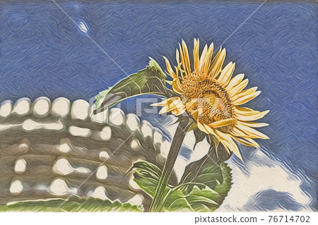 向日葵田 76714702