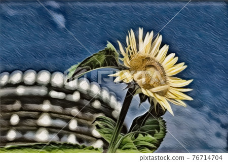 向日葵田 76714704