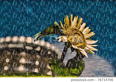 向日葵田 76714706