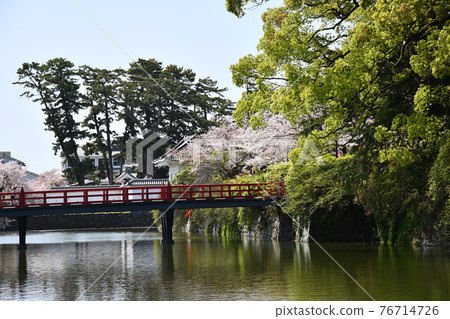 Odawara Castle Odawara Castle 76714726