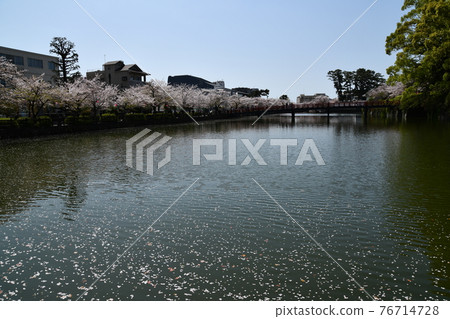 Odawara Castle Odawara Castle 76714728