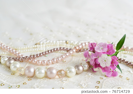 Dianthus flowers and accessories Dianthus flowers and accessories 76714729