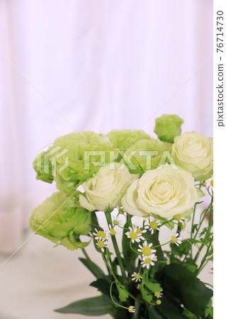 Arrangement of green Arrangement of green 76714730
