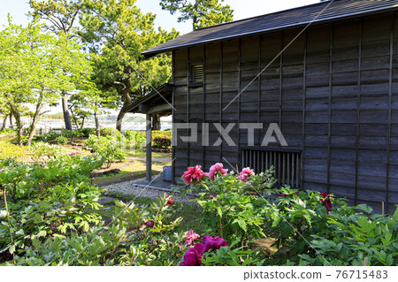 神奈川縣橫濱市金澤區野島公園伊藤博文別亭的春天 神奈川縣橫濱市金澤區野島公園伊藤博文別亭的春天 76715483