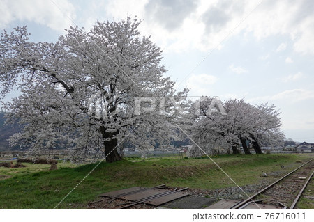 Shinano-Kawada Station Ruins (2021) Shinano-Kawada Station Ruins (2021) 76716011