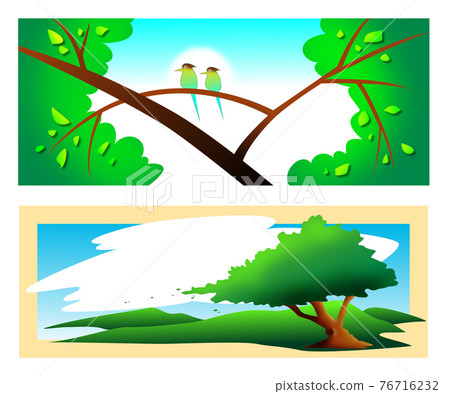 Forest, forest image 76716232