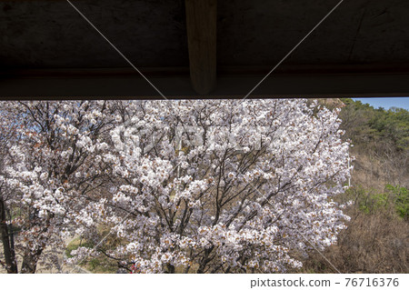 京畿道始興市奧古公園 京畿道始興市奧古公園 76716376