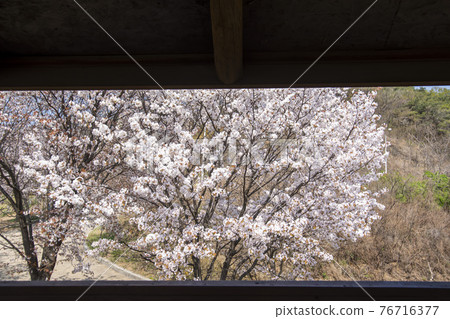 京畿道始興市奧古公園 京畿道始興市奧古公園 76716377