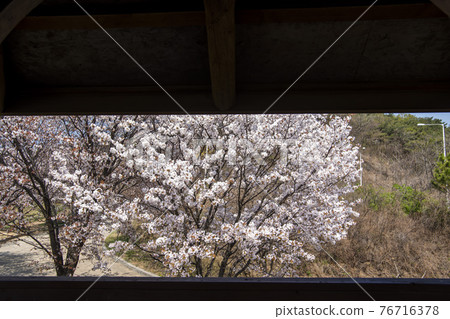 京畿道始興市奧古公園 京畿道始興市奧古公園 76716378