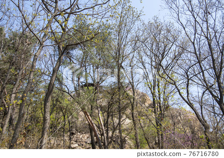 京畿道始興市玉口公園 京畿道始興市玉口公園 76716780