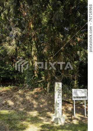 廣島縣東廣島市元宮八幡神社 76716968
