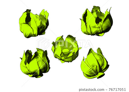 Engraving cauliflower leaves illustration set isolated on white BG Engraving cauliflower leaves illustration set isolated on white BG 76717051