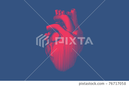 Vintage engraving human heart illustration isolated on blue BG 76717058