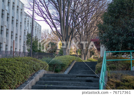 北區瀧野川公園/西原的樓梯 76717361