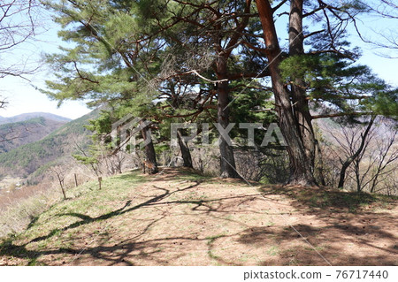 真田本莊遺址(2021年春季) 真田本莊遺址(2021年春季) 76717440