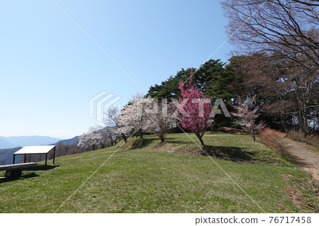Ruins of Sanada Honjo (Spring 2021) Ruins of Sanada Honjo (Spring 2021) 76717458