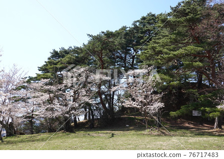 Ruins of Sanada Honjo (Spring 2021) Ruins of Sanada Honjo (Spring 2021) 76717483