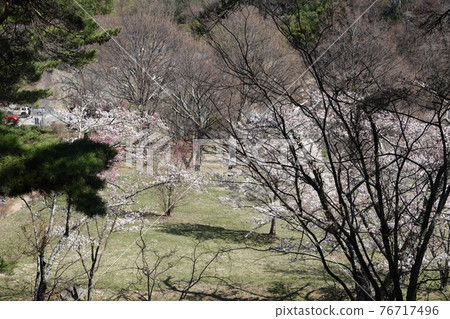真田本莊遺址(2021年春季) 真田本莊遺址(2021年春季) 76717496