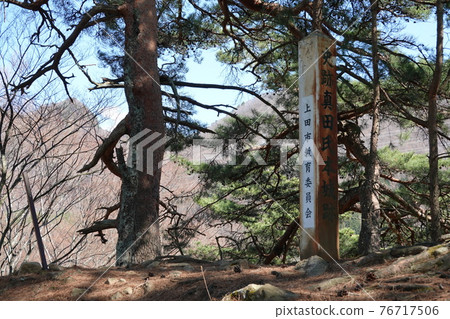 真田本莊遺址(2021年春季) 真田本莊遺址(2021年春季) 76717506