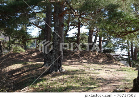 Ruins of Sanada Honjo (Spring 2021) Ruins of Sanada Honjo (Spring 2021) 76717508