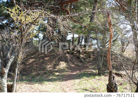 Ruins of Sanada Honjo (Spring 2021) 76717511