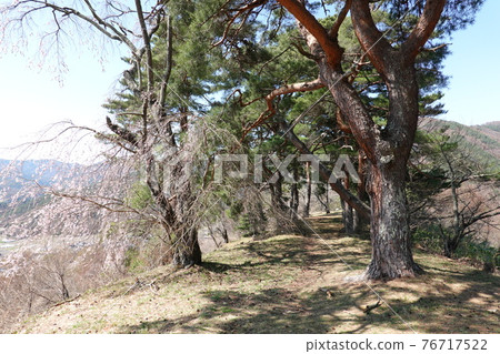 Ruins of Sanada Honjo (Spring 2021) Ruins of Sanada Honjo (Spring 2021) 76717522