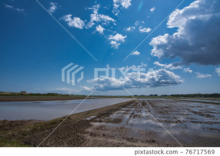 春農村,水稻種植前 春農村,水稻種植前 76717569