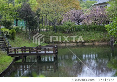 下雨的公園池塘 下雨的公園池塘 76717572