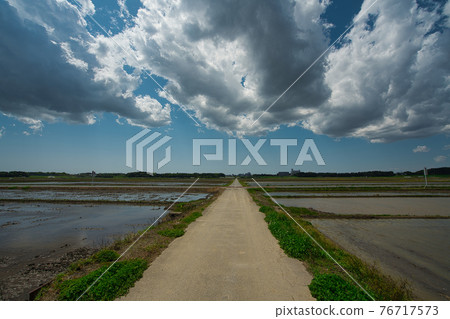 春農村,水稻種植前 春農村,水稻種植前 76717573