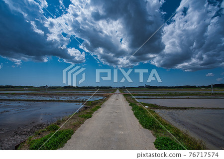日本道路,春季農村,水稻種植前 日本道路,春季農村,水稻種植前 76717574