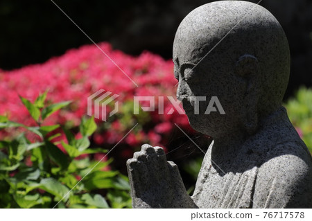 <神奈川>佛寺的杜鵑花 <神奈川>佛寺的杜鵑花 76717578
