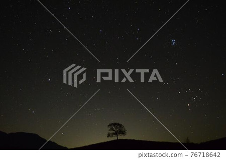 Aso Ogi Rice Terraces 76718642