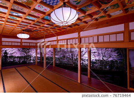 Illumination of cherry blossoms in Kyoto Shojuin and its surroundings Illumination of cherry blossoms in Kyoto Shojuin and its surroundings 76719464