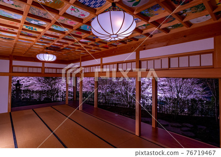 京都精進院周邊的櫻花燈飾 76719467