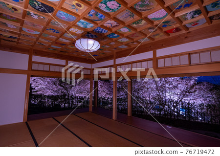 京都精進院周邊的櫻花燈飾 76719472